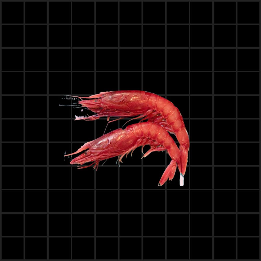 Gambero Rosso III° (1 Pezzo)