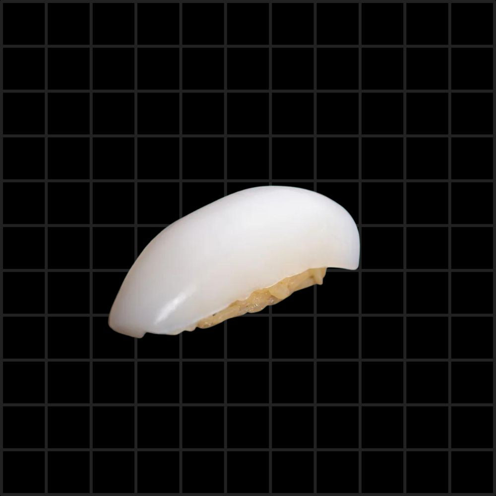Nigiri Calamaro (2 Pezzi)